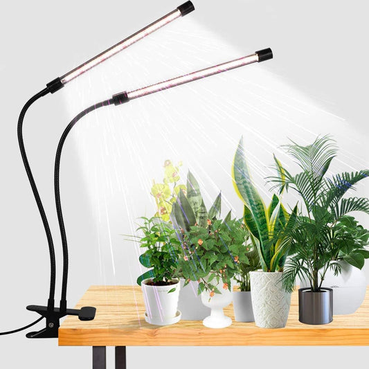 6000K LED Grow Light